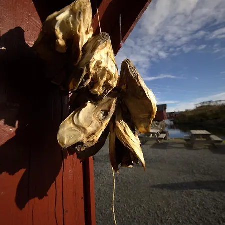 Moskenes I Lofoten, Autentisk Hus Midt I Fiskevaeret A Casa de Férias