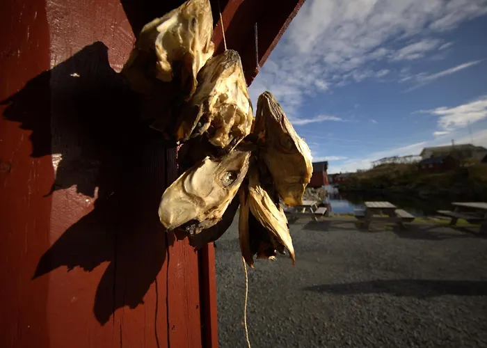 Moskenes I Lofoten, Autentisk Hus Midt I Fiskevaeret A Dom wakacyjny